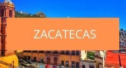 Lugares pet friendly en zacatecas