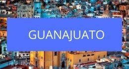 Lugares pet friendly en guanajuato