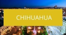 Lugares pet friendly en chihuaha